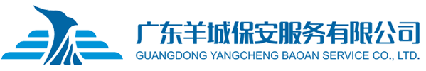 长沙传辉国际科技交流有限公司
